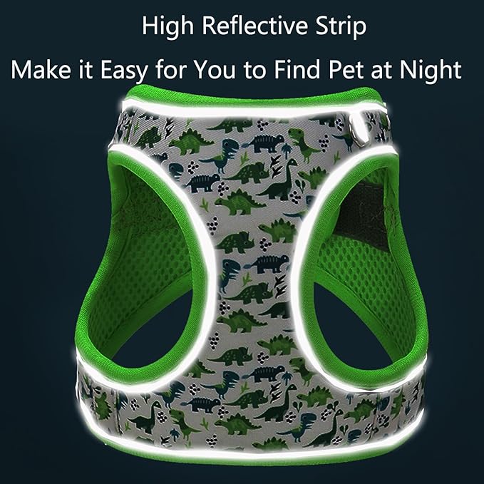 Small Dog Harness and Leash Set, Step in Dog Harness No Pull for Walking Running Training, Puppy Essentials for Dogs Cat Bunny, Adjustable Reflective Dog Vest Harness. (Green, S)