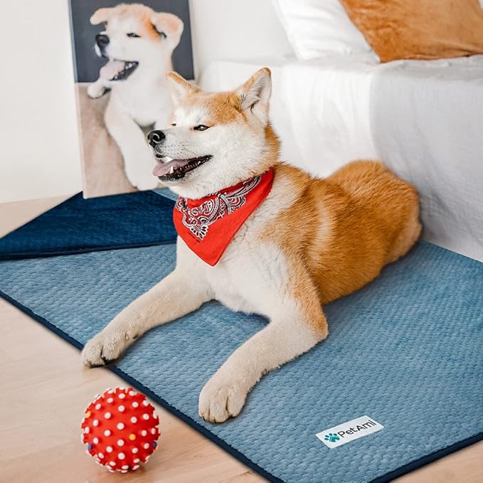 PetAmi Waterproof Dog Blanket, Leakproof Puppy Blanket for Small Medium Dogs, Furniture Sofa Couch Cover Protector, Fleece Pet Throw Indoor Cat Kitten, Reversible Washable Soft Plush, 24x32 Navy Blue