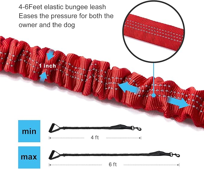 6FT Highly Reflective Heavy Duty Elastic Bungee Medium and Large Dog Leash Shock Absorbing with Comfortable Padded Handle and Traffic Handle Suitable for Training Red