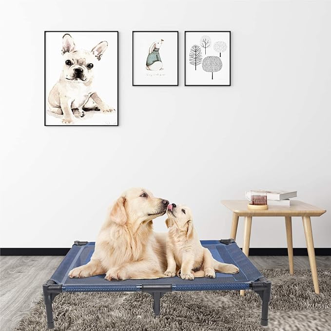 Suddus Elevated Dog Bed - Waterproof, Portable, Off The Floor, Easy Clean Indoor/Outdoor, Medium, Blue