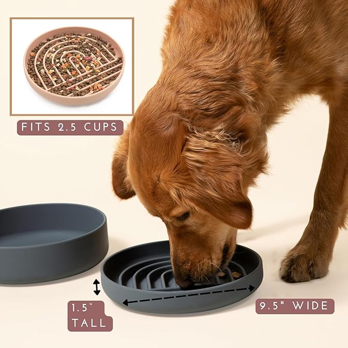 Should We Go? Slow Feeder for Dogs & Puppies, The Slowdown Bowl Silicone Slow Eating, Modern Lick Mat Design, Reduces Gulping, Fits 2.5 Cups, 9.5” Across x 1.5” Tall, Mealtime Challenge, Large-Blush