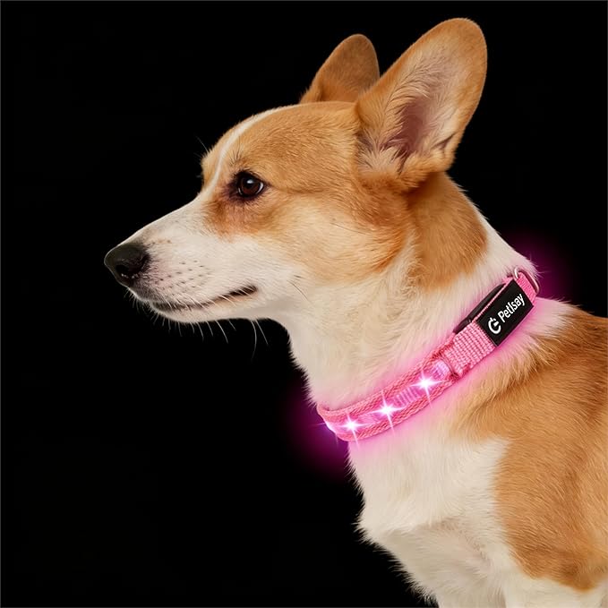 LED Dog Collar for Small Dogs Cats - Fully Waterproof & Adjustable Glow Collar - USB-C Rechargeable for Night Walking, Safety - Flashing Lighted Collar for Dogs(Pink,S)