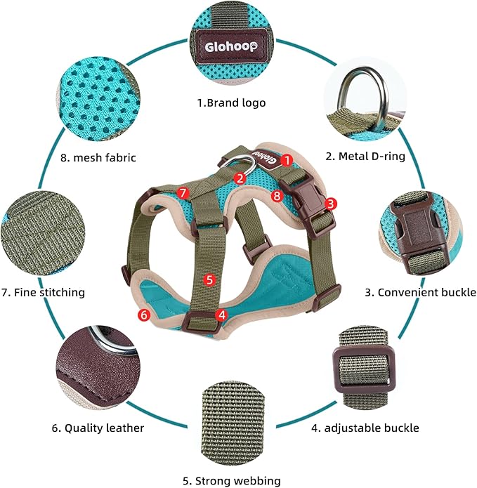 Small Dog Harness and Leash Set, Breathable Mesh Puppy Harness, Adjustable Dog Harness for Small Medium Large Dogs, No-Pull Pet Harness for Daily Walking (Lakeblue, S)