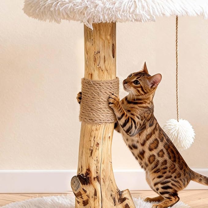Modern Cat Tree Tower for Indoor Cats, 33" Luxury Cats Trees Natural Solid Wooden with Sisal Scratching Post, Log Style Cat Furniture with Perches Platform & Toy Ball，Primary Colors