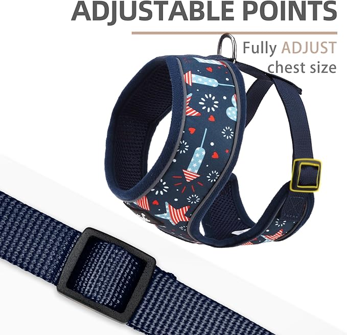 PUPTECK Soft Mesh Dog Harness and Leash Set Pet Puppy Cat Comfort Padded Vest No Pull Harnesses, Independence Dark Blue, S