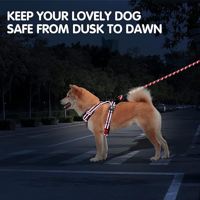 PoyPet Dog Harness and Leash Combo, Escape Proof No Pull Vest Harness, with 5 Feet Leash, Reflective Adjustable Soft Padded Pet Harness with Handle for Small to Large Dogs(Red,S)