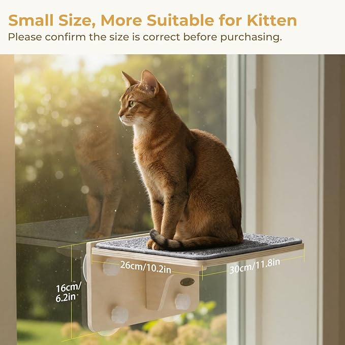 Pecute 2-in-1 Cat Window Perch & Wall Shelves - Sturdy Solid Wood Frame, 4 Large Rotating Suction Cups, Washable Carpet Cloth Cover, Space-Saving Indoor Cat Hammock Bed for Kittens Inside, 12"x10"