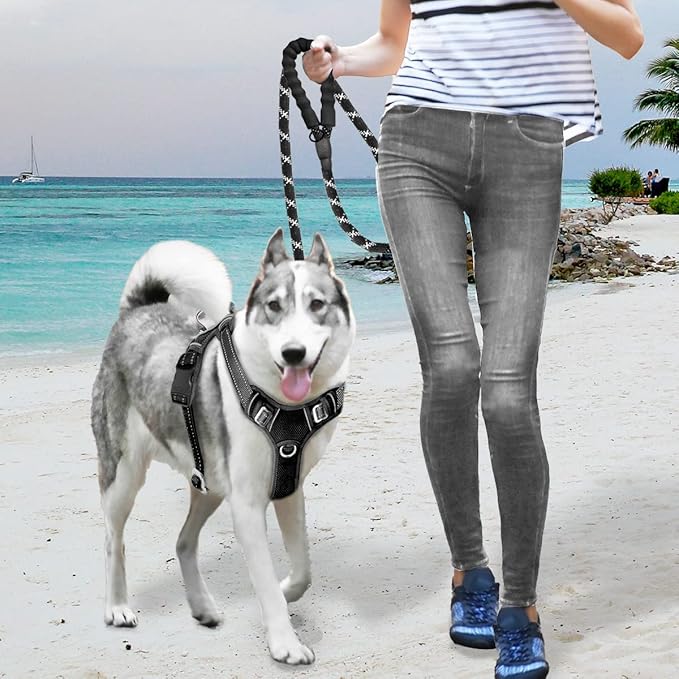 BARKBAY No Pull Dog Harness Large Reflective Dog Harness with Front Clip and Easy Control Handle for Walking Training Running with ID tag Pocket(Black,S)