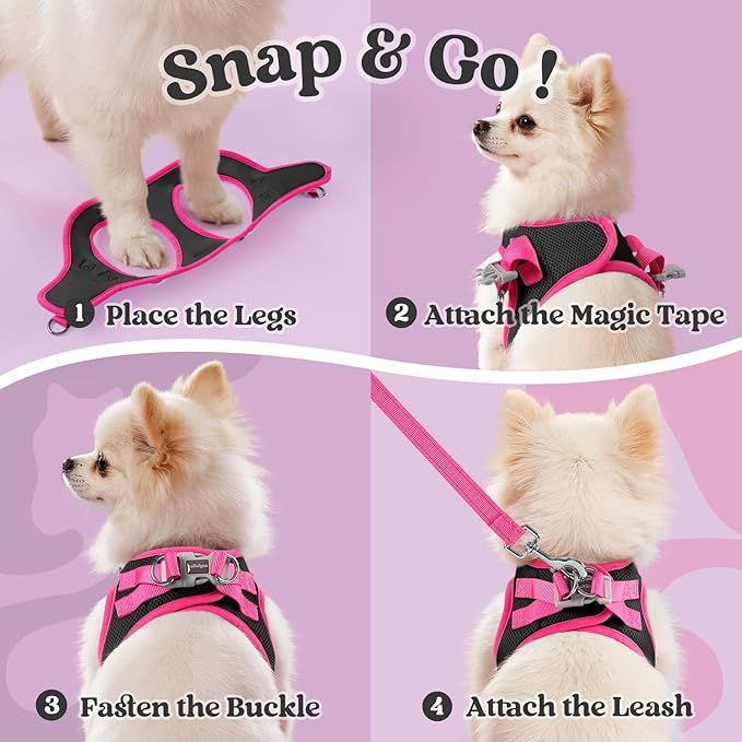 rabbitgoo Dog Harness Small Sized and Leash Set, Step-in Breathable Pet Harness, Soft Walking Reflective Puppy Vest for Small Dogs, Black & Rose Red, XXS