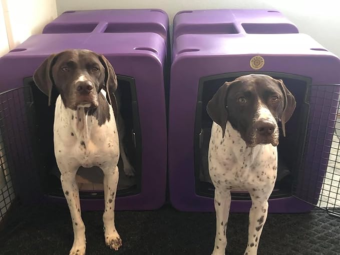 dakota283 G3 Framed Door Kennel - Large - Purple