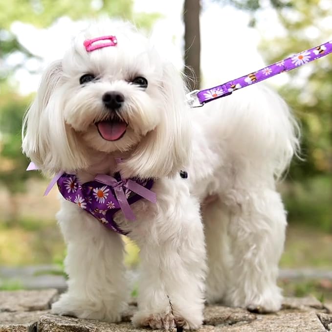 PUPTECK Dog Harness and Leash Set Small Sized, Step in No Pull Adjustable Puppy Cat Harness Reflective Pet Vest