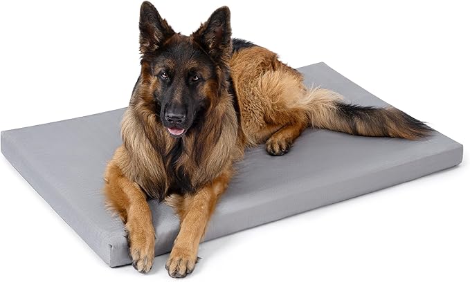 Cybarmour Chew Proof Dog Bed - Orthopedic Indestructible Dog Crate Pad - Outdoor Waterproof Kennel Mat for Aggressive Chewers - Extra Large Breeds & Fits 48-Inch Crate - 47"x29", Limestone