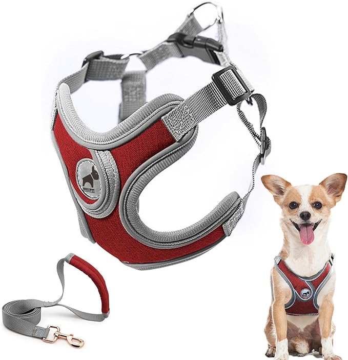 Dog Harness with Leash Set, Adjustable Step in with Breathable Padded Puppy Harness for Walking Escape Proof Small Dogs (XS, Red)