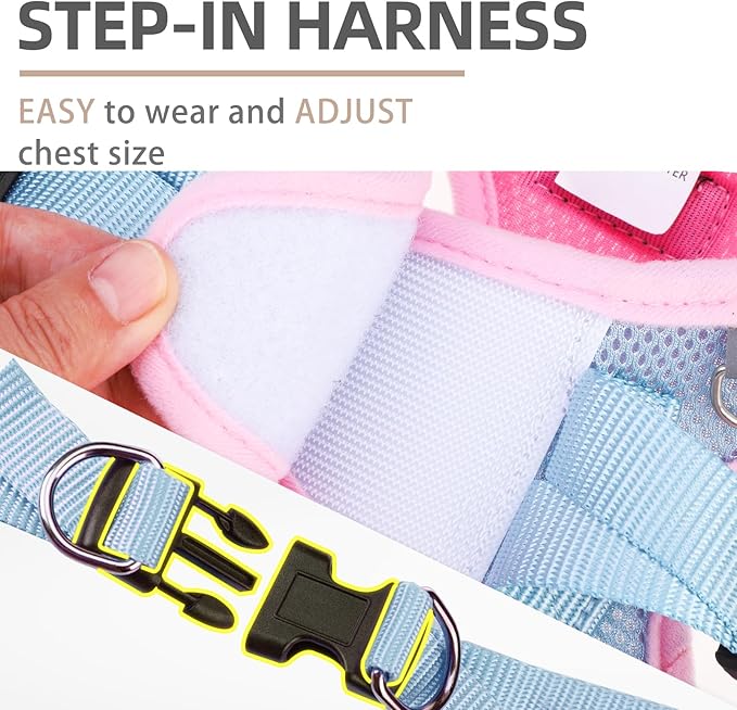 PUPTECK Dog Harness and Leash Set for Small Medium Dogs No Pull Step-in Soft Mesh Puppy Cat Vest Harnesses Reflective at Night, Pink & Blue, S