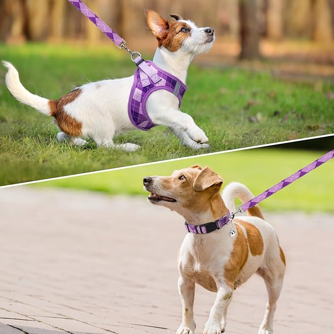 SCENEREAL Small Dog Harness and Leash Collar Set, Step in No Pull Soft Mesh Dog Harnesses for Small Medium Sized Dogs Puppy and Cats Outdoor Walking, No Chock Reflective Vest Harness, Purple Plaid S