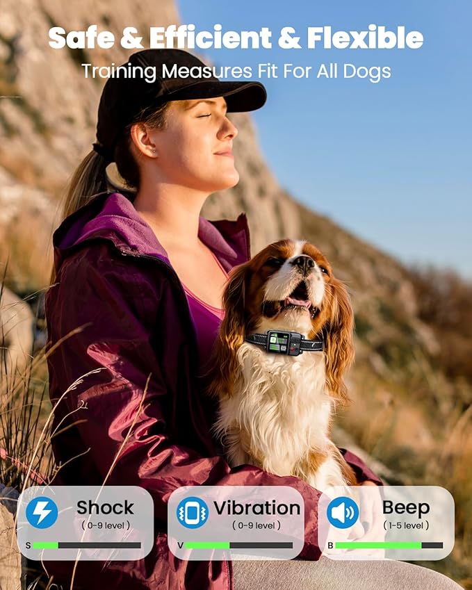 GPS Wireless Dog Fence, Electric Fence Collar for Dogs, Circular Containment System, Radius Range 49-6561 ft, Adjustable Training Measures, Rechargeable, Waterproof | for Outdoor Use Only