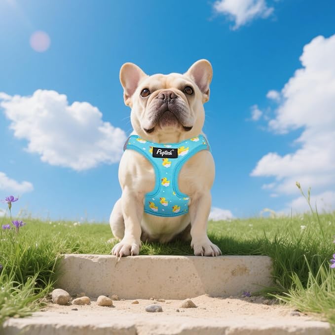 PUPTECK Dog Harness and Leash Set for Small Medium Dogs No Pull Step-in Soft Mesh Puppy Cat Vest Harnesses Reflective at Night, Blue Duck, S