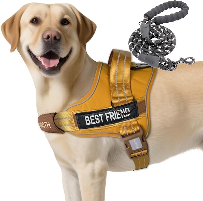 AUROTH Dog Harness and Leash Set, Soft Padded Dog Vest with 5.25FT Dog Leash, No Choke, Easy On Pet Vest, Adjustable Reflective No Pull Dog Harness for Large Dogs, Easy Walking and Training