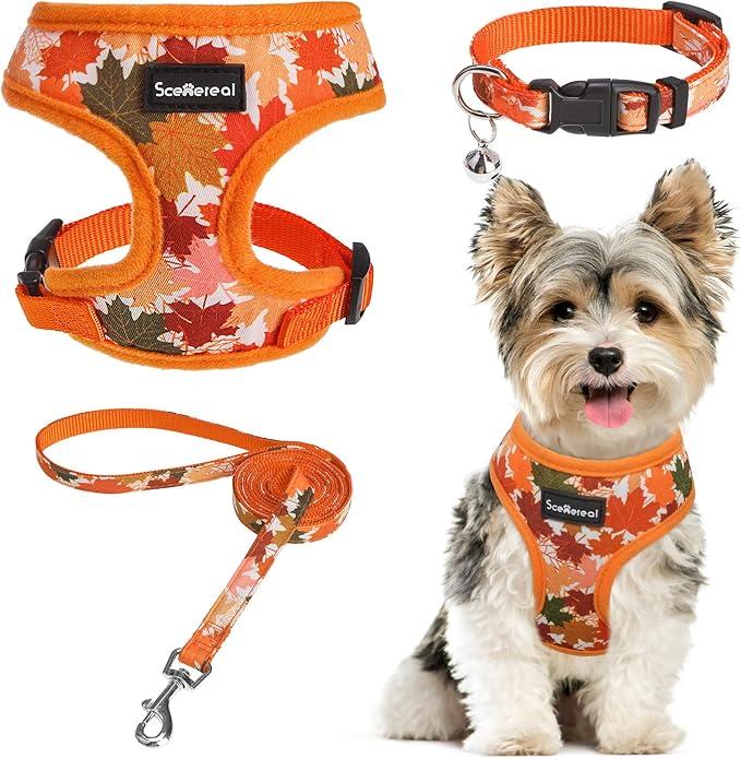 SCENEREAL Fall Dog Harness Collar and Leash Set for Small Dogs, Orange Leaf No Pull Dog Harnesses, Adjustable Step in Pet Vest for Doggie Puppy Cats Walking Outdoor, Chihuahua Yorkie Harness XS