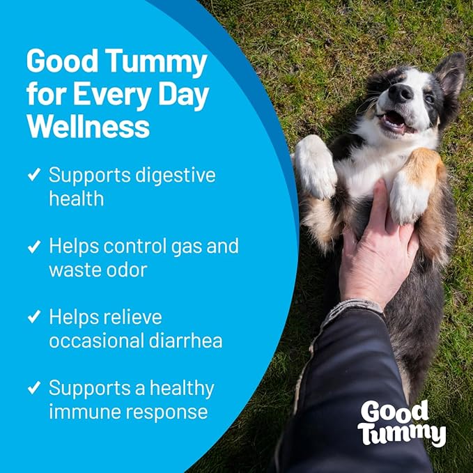 Good Tummy Probiotic Chews for Dogs – Supports Digestive Health, Controls Gas, Promotes Healthy Immune Function – Beef Flavor, 60 Soft Chews