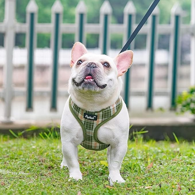 PUPTECK Soft Mesh Dog Harness and Leash Set Pet Puppy Cat Comfort Padded Vest No Pull Harnesses, Olive Green, S