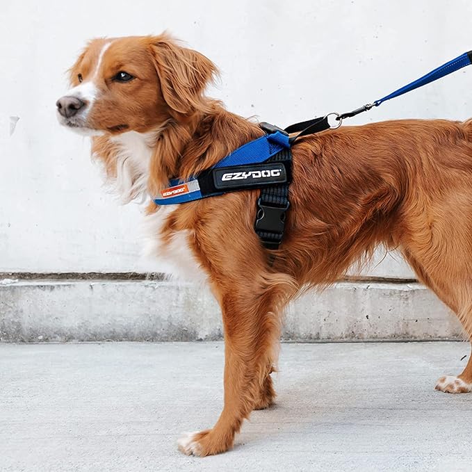 EzyDog Express Dog Harness - Adjustable Dog Harness for Large, Medium, and Small Dogs with Padded Ergonomic Anti-Chafing Design, Grip Handle, & Easy Side Buckle (M, Pink)