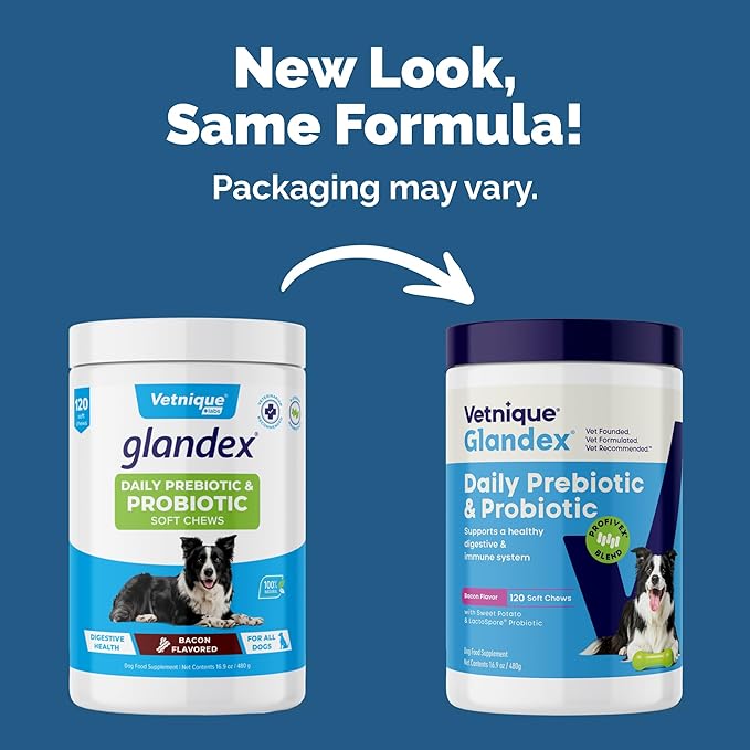 Vetnique Glandex Daily Probiotics for Dogs with Prebiotics to Support Gut Health with Fiber and Digestive Enzymes, Probiotic Chews or Powders (120ct Chews, Bacon Chews)