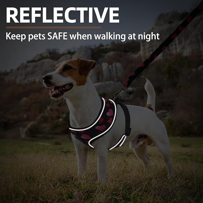 PUPTECK Soft Mesh Dog Harness and Leash Set Pet Puppy Cat Comfort Padded Vest No Pull Harnesses Valentine, Black&Pink, S