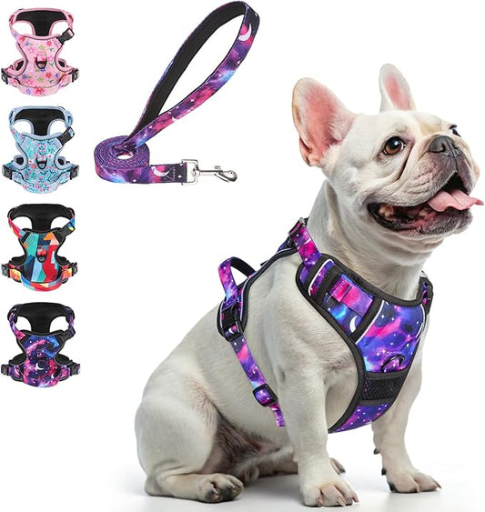 BEAUTYZOO No Pull Dog Harness and Leash Set with 2 Metal Leash Clips - Overhead-Free 3 Snap Buckles Design, Adjustable No-Choke Soft Padded Reflective Oxford Pet Vest for Small Medium Large Dogs, S