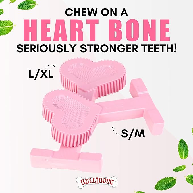 Bullibone Nylon Dog Chew Toy for Aggressive Chewers - Dental Hygiene Bone with Peppermint Flavor, Durable Tough Chew Toys for Large Dogs, Indestructible Dog Bone - 2 Pack