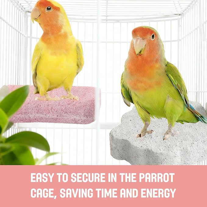 4PCS Bird Beak Grinding Stone,Parrot Cage Perch Stand Platform Foot Claws Trimmer Chewing Toys,Washable Cage Furniture for Small Medium Bird,Budgies, Parakeets, Cockatiels, Conures(Pumice)