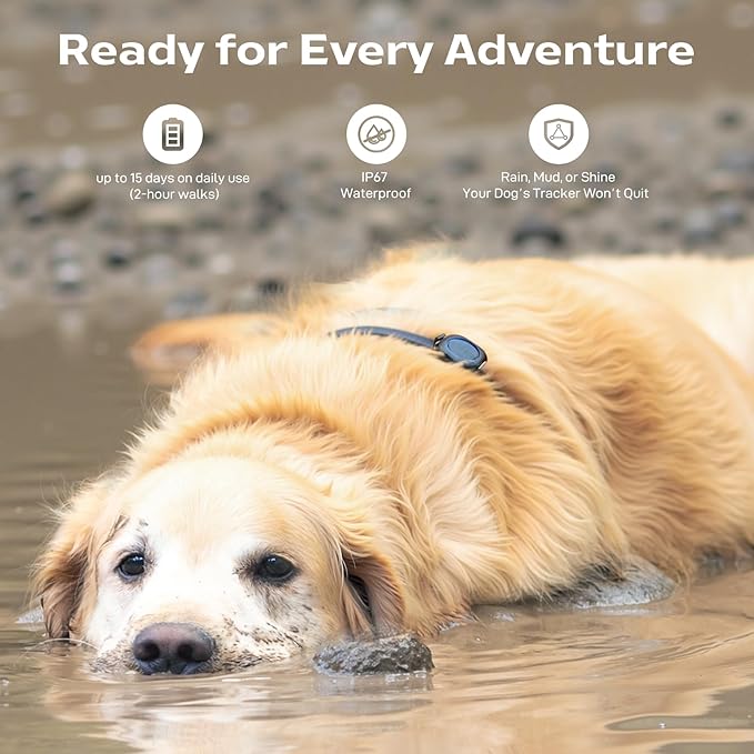 Aorkuler Outdoor GPS Dog Tracker – Ideal for Remote & Rural Areas, No Phone or Signal Needed, Real-Time Tracking for Daily Walks, Hiking, Farms, and Large Open Spaces – No Monthly Fees (Tracker 2)