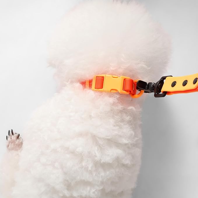 WLK1004A-5SET Luna Small 8FT Adjustable 6-in-1 Waterproof Hands-Free Leash and Collar with LED Flashlight, Bag Dispenser, and Poop Bag Holder, Aperol