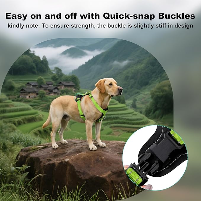 Plutus Pet Adjustable No Pull Dog Harness with Leather Accents, Heavy Duty Reflective Nylon Vest for Training, Hiking, Easy Walk Harness for Small, Medium, Large Dogs (Green, XL)