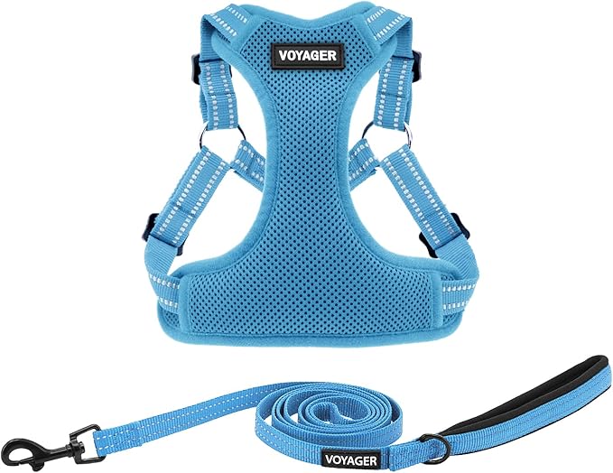Best Pet Supplies Voyager Mesh Dog Breathable Harness Reflective Stitching, All Weather Adjustable for Walking Training, or Running - Heavy Duty & Durable, Harness Leash Set (Baby Blue), XL
