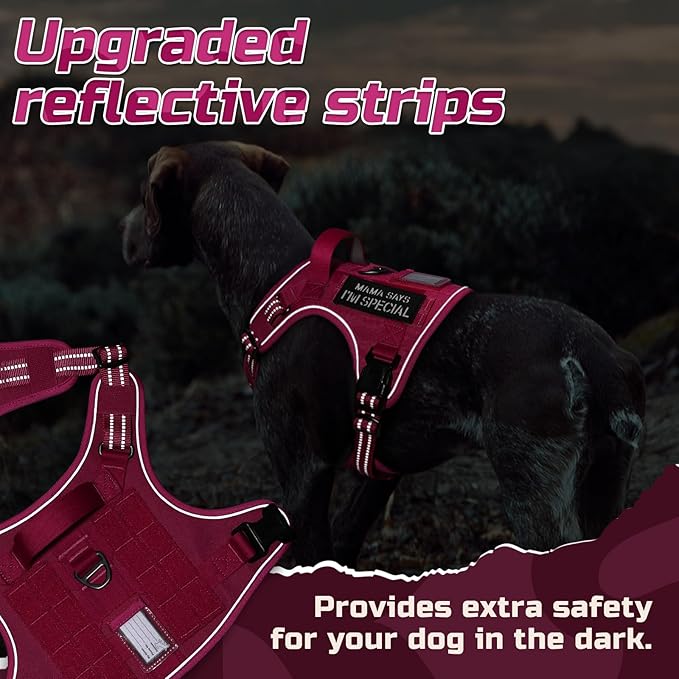 rabbitgoo Tactical Dog Harness for Large Dogs, No Pull Military Service Vest with Handle & Molle, Easy Control for Training Walking, Adjustable Reflective Straps, Rose Red, L
