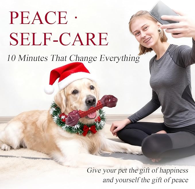 Apasiri Tough Dog Toys for Aggressive Chewers Large Breed, 2-Pack Dogs Chew Toys for Large Medium Dogs, Nylon and Rubber Dog-Bones for Teething Chew, Beef Flavor, for Doggo 20-80 lbs