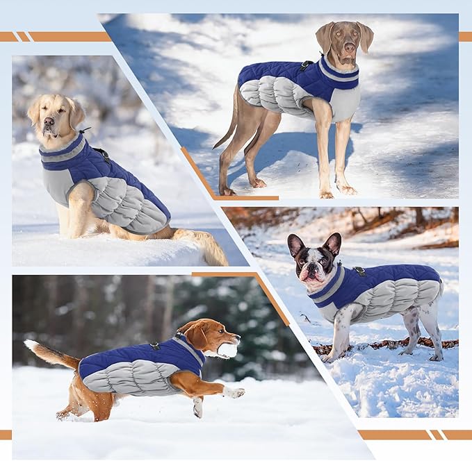 Dog Coats for Small Dogs, Puppy Coat, Warm Winter Jacket, XS Dog Coat with Harness Built in, Waterproof Pet Cold Weather Coats, Puppy Winter Clothes Snowsuit Chihuahua Maltese,Blue,XS