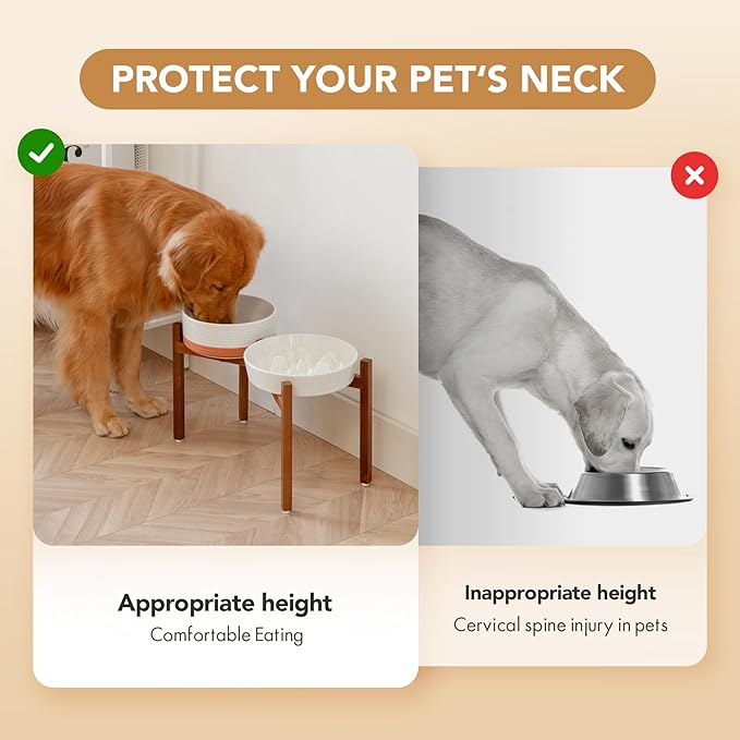Ceramic 3.2 Cup Raised Slow Feeder Dog Bowl Set, Elevated 8.2inch Bowl and 9.5inch Slow Feeder Dish with Acacia Wood Stand for Large Dog (2 x Vanilla White+ Stand)