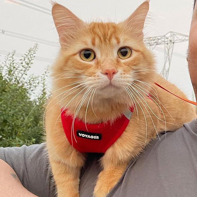 Voyager Step-in Air All Weather Mesh Harness and Reflective Dog 5 ft Leash Combo with Neoprene Handle, for Small, Medium and Large Breed Puppies by Best Pet Supplies - Harness Leash Set (Red), S