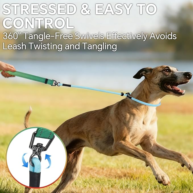 QQPETS Adjustable Slip Lead Dog Leash, Hands Free Waist Leash for Dog Walking, Reflective Training Lead with 360° Swivel Anti-Tangle, 4-7 ft Length for All Breeds