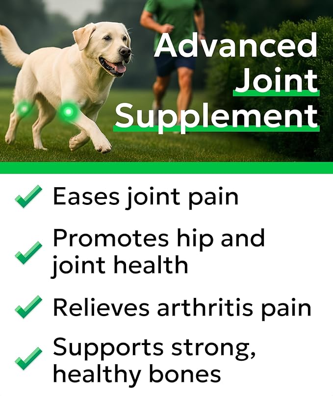 BARK&SPARK Glucosamine Chondroitin Dog Hip & Joint Supplement - Joint Pain Relief - Hip & Joint Chews - Joint Support Large Small Breed - Senior Doggie Vitamin Pill Joint Health (120 Treats - Bacon)