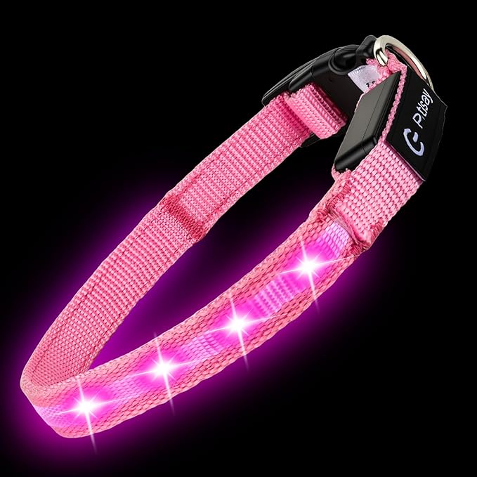 LED Dog Collar for Small Dogs Cats - Fully Waterproof & Adjustable Glow Collar - USB-C Rechargeable for Night Walking, Safety - Flashing Lighted Collar for Dogs(Pink,XS)