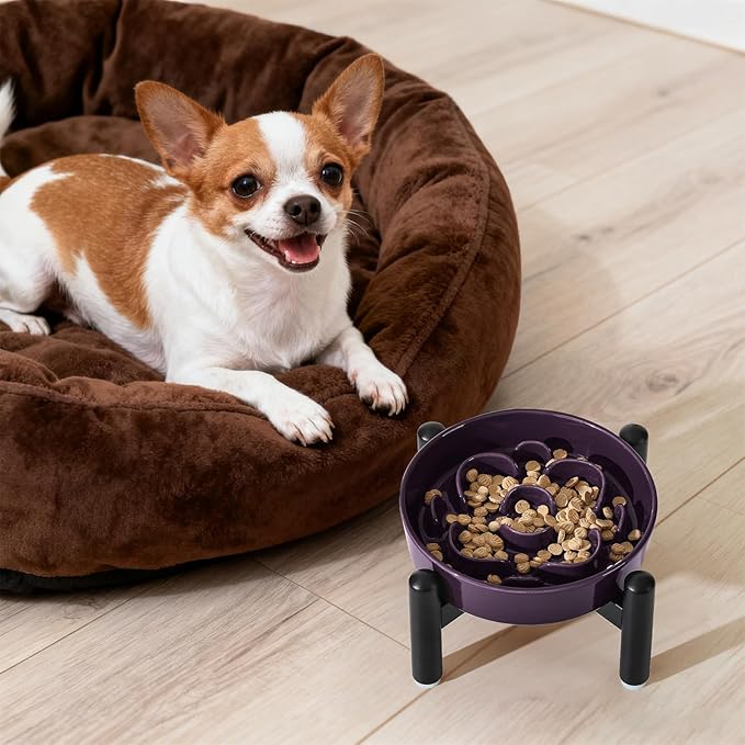 Elevated Slow Feeder Dog Bowl - Ceramic Maze Dog Food Bowl with Stainless Stand - Raised Slow Feeder for Small Breeds to Control Eating Speed - 6.3 Inch - 0.8 Cups (80g) - Purple