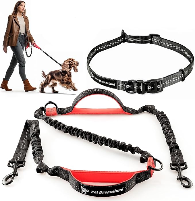 Exquisite Hands-Free Leash for Medium Dogs: Ultimate Comfort & Freedom for Running, Walking, Hiking. Premium Quality, Durable & Versatile Waist Dog Leash Belt. Your Dog Will Love It
