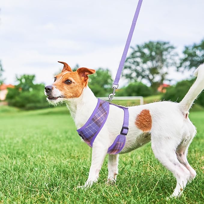 SCENEREAL Puppy Dog Harness with Leash Set for Small Medium Sized Dogs, Soft Mesh Step in Pet Harnesses and Leash, No Chock Plaid Adjustable No Pull Vest for Dogs Cats, Chihuahua,Bulldog (Purple XS)