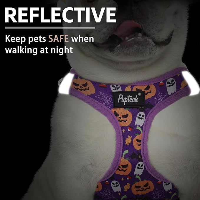 PUPTECK Dog Harness and Leash Set for Small Medium Dogs No Pull Step-in Soft Mesh Puppy Cat Vest Harnesses Reflective at Night, Halloween Purple, M