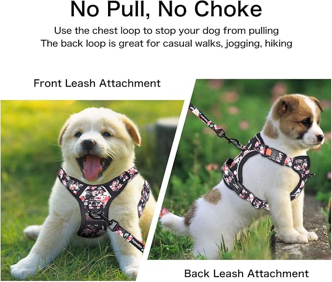 Petmolico No Pull Dog Harness Set with Leash Attachment Easy Control Handle Reflective Harness Vest Small Breed, Puppy Vest and Leash Set with Poop Bag Holder, Small - Red White Flower