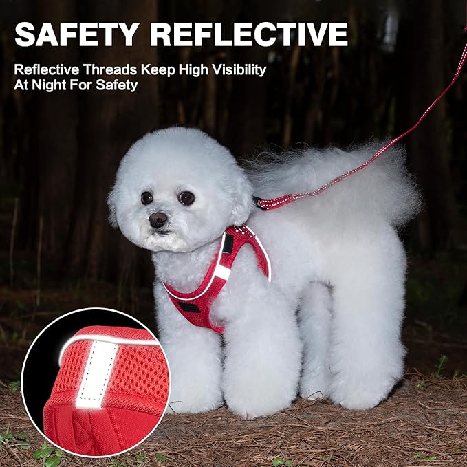 Dog Harness and Leash Set, No Pull Mesh Puppy Harness for Small Medium Sized Dogs, Pet Vest for Walking Running Training, Double D-Rings Reflective Strip