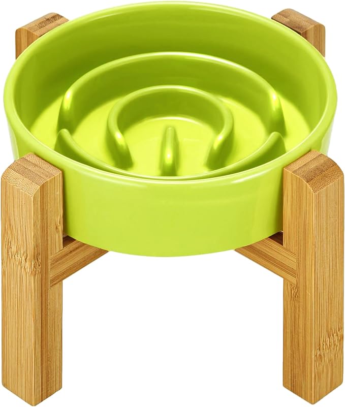 Ceramic Slow Feeder Dog Bowls Elevated, 0.6 Cup Slow Feeder for Small Dogs and Cats, Puzzle Maze Bowl, Prevents Choking, 6in, Green